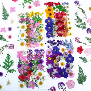 Heiß begehrtes Harzschmuck-Set mit Trockenblumen und Formen - Product Image 1