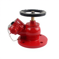 Ensemble de pulvérisation de boîte à hydrant en acier inoxydable flexible épaissi, équipement incendie intérieur/extérieur ZH24423 80x65x24cm