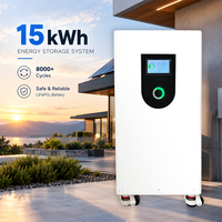 Système de stockage vertical de batterie LiFePO4 51,2 V 300 Ah 15 kWh, ESS au lithium sur pied avec BMS intelligent avancé
