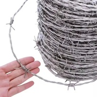 Fil de fer barbelé en gros, bobine argentée, galvanisé à chaud, acier à faible teneur en carbone, 50 kg, protection de la construction, durée de vie plus longue, palette
