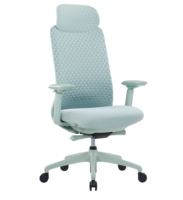 Chaise de bureau avec design ergonomique en maille, appui-tête réglable, adaptée à la maison et au bureau