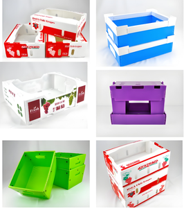 <span class=keywords><strong>Caja</strong></span> <span class=keywords><strong>de</strong></span> almacenamiento <span class=keywords><strong>de</strong></span> documentos con forma <span class=keywords><strong>de</strong></span> avión <span class=keywords><strong>de</strong></span> <span class=keywords><strong>polipropileno</strong></span> al mejor precio con asa <span class=keywords><strong>Caja</strong></span> <span class=keywords><strong>de</strong></span> embalaje <span class=keywords><strong>de</strong></span> archivos <span class=keywords><strong>de</strong></span> PP corrugado <span class=keywords><strong>de</strong></span> plástico polivinílico - Product Image 2