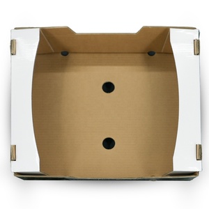 FPG Free Design Frutas Manzanas Naranjas Tomate Plátano Arándano Fresa Cereza aguacate Embalaje Cartón Caja <span class=keywords><strong>de</strong></span> envío - Product Image 4