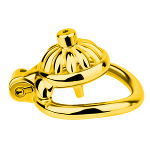 Alat bantu seks pria berongga logam bunga matahari kandang Penis dengan kateter baja tahan karat kurungan kesucian pria grosir mainan seks BDSM - Product Image 4