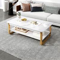 Nouvelle table basse en bois au design moderne, table basse multifonctionnelle avec plateau en fil métallique