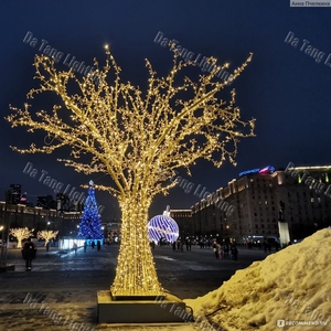 Lumière de Noël en forme d'arbre, conçue comme une sculpture lumineuse creuse pour des arrangements décoratifs nocturnes épurés - Product Image 3