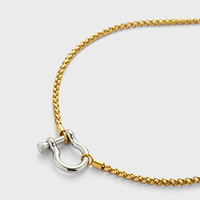 YF3383 Bijoux Étanche et Inoxydable Collier Ras-du-Cou en Chaîne Corde Acier Inoxydable Plaqué Or 18K Collier Fer à Cheval Bicolore