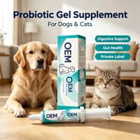 Gel Probiotique pour Chiens et Chats, Complément Digestif, Soutien à la Santé Intestinale, Produit de Santé pour Animaux, Fournisseur en Gros OEM ODM Marque Privée