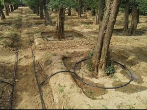 Mangueira de Borracha de 16mm em Promoção: Mangueira de Irrigação por Gotejamento para Estufas e Jardins - Product Image 5