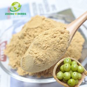 สารสกัดจากพืช<span class=keywords><strong>100%</strong></span> ผงสกัดจากผลไม้บริสุทธิ์สารสกัดจากผลไม้ <span class=keywords><strong>Amla</strong></span> ที่ละลายน้ำได้ - Product Image 1