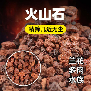 Grande granulométrie de roche volcanique rouge lavée à l'eau, support filtrant pour aquariums d'élevage de poissons, origine Chine - Product Image 3