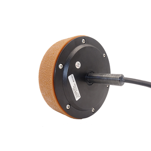Bibo มอเตอร์ศูนย์กลาง WS55L-07A250C-MGGA03 10c-40c มอเตอร์ศูนย์กลางการก่อสร้างแม่เหล็กขายตรงโรงงาน - Product Image 1