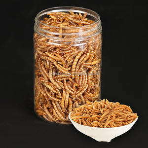 <span class=keywords><strong>Gusano</strong></span> <span class=keywords><strong>de</strong></span> <span class=keywords><strong>sangre</strong></span> seca <span class=keywords><strong>de</strong></span> buena venta <span class=keywords><strong>de</strong></span> <span class=keywords><strong>la</strong></span> mejor calidad para peces, pájaros, lagartos, animales CAMALEONES - Product Image 2