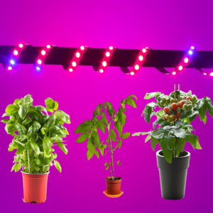 Dc12v SMD 2835 dual-màu LED Strip ánh sáng mềm màu đỏ và màu xanh IP20 đánh giá cho nhà máy phát triển trong nhà kính - Product Image 6