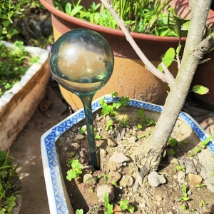Grandi Globi per Irrigazione Piante da 25,5 cm, Palline in Plastica Multiforma per Auto-Irrigazione, Irrigatori Automatici per <span class=keywords><strong>Giardino</strong></span> - Product Image 5