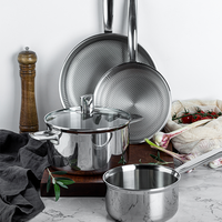 Juego de Utensilios de Cocina de Acero Inoxidable de 10 Piezas (Olla + Cacerola + Sartén + Wok + Tapas)