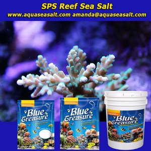 เกลือทะเลบลูเทรเชอร์ SPS ขนาด 20 กก. แบบถัง ผลึกใส สำหรับ<span class=keywords><strong>ตู้</strong></span><span class=keywords><strong>ปลา</strong></span>ทะเล ได้รับการรับรองมาตรฐาน ISO9001 - Product Image 4
