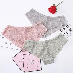Wholesale Female Panties Women Underwear Sexy Bikini Lace Panties Ladies Lingerie Hollow Out Stretch Hipster Brief Plus Size