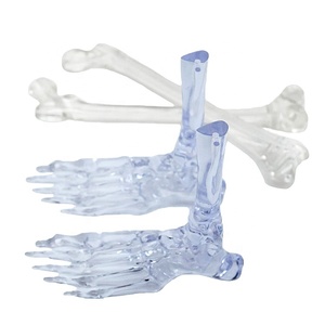 Factory Supplies High Quality <strong>3D</strong> <strong>Printing</strong> Sevice <strong>Humanoid</strong> Models Biomedical - Product Image 1
