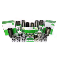 Pièces de réparation moteur pour Toyota 15B : chemise de cylindre, piston 13101-58101, segments 13011-58110, kit de joints de soupape 04111-58101, palier