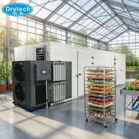 Nouvelle machine de séchage de légumes et d'oignons DRYTECH grande capacité, dimensions L6350xW3230xH2200mm, rapport de test SGS