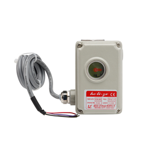 Actuador a Prueba de Explosiones de Bajo Torque Zx con Válvulas de Bola Roscadas Ac230v 9s Base Metálica 304 Dn25 - Product Image 1