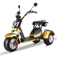 Triciclo Eléctrico de Golf CityCoco de 3 Ruedas con Almacén en EE. UU. 2026, 3000W, Llantas Anchas, Largo Alcance, Cuerpo Cerrado de Acero Tipo Inteligente para Adultos