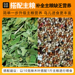 Moringa Leaf Parrot Treats Bulk Calcium Supplement For <b>Budgies</b> Cockatiels Sun Conures Monkeys Eco Friendly Bird <b>Food</b> - Product Image 3
