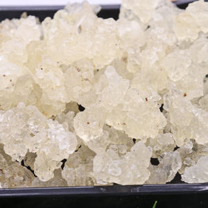 Il nido dell'uccello bianco, la rondine della neve nutre e nutre il viso - Product Image 5