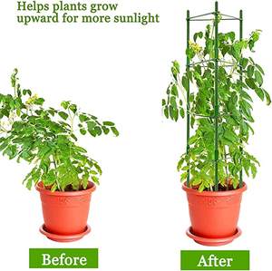 Treillis de jardin multifonctionnel en acier à revêtement vert déformable Plantes Légumes Grimpants Support triangulaire en fer - Product Image 5