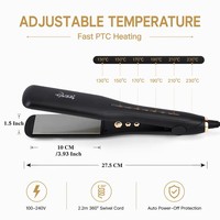 Lisseur Électrique Portable Professionnel OEM en Nano-Titane à Chauffage Rapide pour Hôtels, Marque Privée Personnalisée
