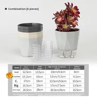 Pot de fleurs hydroponique transparent en plastique à absorption automatique de l'eau pour la culture des plantes vertes, pot blanc