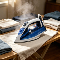 Fer à vapeur électrique portatif domestique avec semelle en céramique, réservoir d'eau de 300 ml, repassage à sec et vapeur, anti-calcaire pour tous les tissus