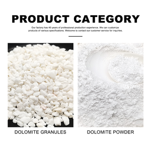 Poudre de dolomite de qualité supérieure 50 <span class=keywords><strong>kg</strong></span> – <span class=keywords><strong>Prix</strong></span> compétitif – Poudre de dolomite blanche – Chaux dolomite pour ciment et matériaux de construction - Product Image 2