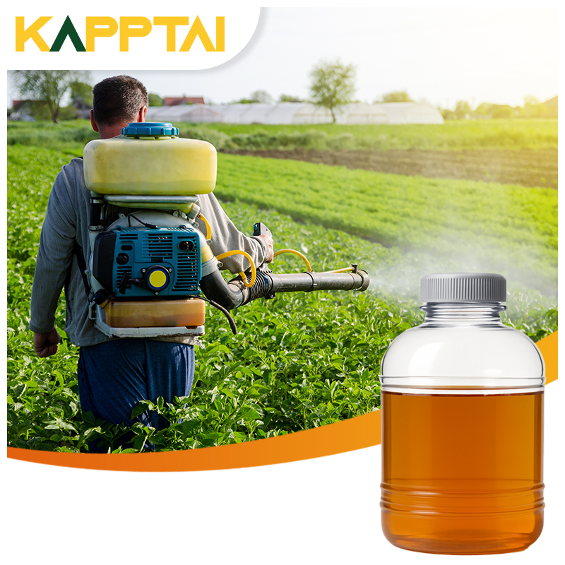 Soy Protein Hydrolysate 99 Purity 50