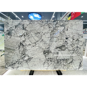 Lastre di Marmo Aquarella di Lusso MTSTONE, Design Moderno di Alta Qualità, Lucidate per Pavimenti e Decorazioni Murali di Hotel - Product Image 1