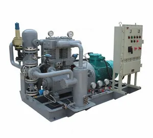 Factory OEM Price Hydrogen Natural Gas N2 Piston Compressor Gas Filling Station Compressor