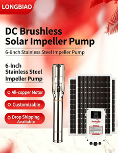 <span class=keywords><strong>Pompe</strong></span> à eau solaire submersible centrifuge à haut débit de 6 pouces en acier inoxydable, à moteur CC sans balais, pour puits profond, avec impeller photovoltaïque - Product Image 4