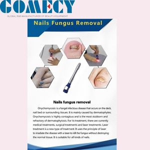 Equipo de Belleza Profesional <span class=keywords><strong>con</strong></span> Láser de Diodo de 980nm y 1470nm, 6+1 Panacea para Disolver Grasa, <span class=keywords><strong>Eliminar</strong></span> Vasos Sanguíneos y Endolifting - Product Image 5