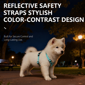 Nunbell Fornecedor Simples Reflexivo H-Shaped Segurança Strap Nylon Step-in Buckle Encerramento Arnês Do Cão para Pequenos Animais Proteção - Product Image 3