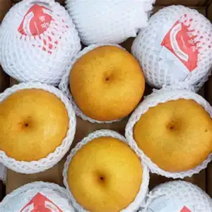 2021 neue Ernte von China Fresh Pear Obst zum Verkauf Korea Singto Pear Jahrhundert frisch aus der chinesischen Birnen fabrik