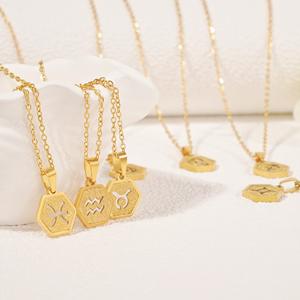 Collar con Colgante Hexagonal <span class=keywords><strong>de</strong></span> Acero Inoxidable Chapado en Oro <span class=keywords><strong>de</strong></span> 18K al por Mayor, Joyería Geométrica Unisex con <span class=keywords><strong>los</strong></span> 12 Signos del Zodiaco - Product Image 4