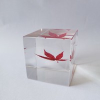 Cube de résine acrylique transparent avec feuille d'érable et fleur séchées, presse-papiers décoratif de bureau