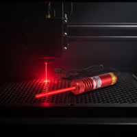Localisateur laser industriel 638 nm |   Coupe de bois/pierre/aluminium en croix/en ligne/en pointe |   Coque en aluminium pour dissipation thermique longue durée