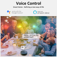 Lámpara LED de Jardín RGB de Fábrica OEM, con Cambio de Color, Regulable, Temporizador, Control por Aplicación WIFI, Compatible con Tuya, Alexa y Google, Iluminación LED para Exteriores