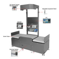 Fabricante de Clasificador Automático, Dimensionamiento, Pesaje, Escaneo y Clasificación Automática, 1500-2000 PPH, Todo en Uno, Transportador en Zigzag