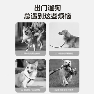 Correa Retráctil Automática para Mascotas de 3.5 Metros, Correa para Pasear Perros con Diseño Impreso, para Perros Pequeños y Medianos, Uso en Exteriores - Product Image 2