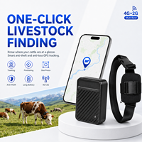 Localizador GPS 2G WiFi de 10000mAh, Resistente al Agua, con Alerta de Geo-cerca, Historial de Rutas, Reproducción de Recorridos, Uso Global