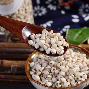 Cevada frita seca limão Coix semente água baixo preço exportação fábrica Directsale - Product Image 6