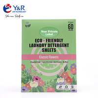Feuilles de lessive biodégradables à base de noix de coco, nettoyage sans phosphate, marque OEM, enveloppe zéro plastique